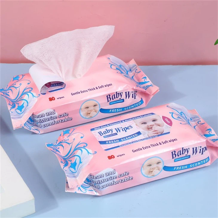 Biodegradable Travel Wipes